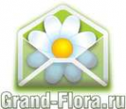 Логотип компании Доставка цветов Гранд Флора (ф-л г.Донецк)